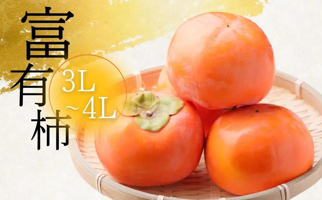 [先行予約]令和8年産 【訳あり】富有柿 3L～4L サイズ 約3kg 加藤果樹園 [mt1691] ｜家庭用 ご自宅用 わけあり ワケアリ かき 富有柿 ふゆうがき フルーツ 令和7年 カキ 果物 くだもの 岐阜県 本巣市 年末 年内配送 年内お届け