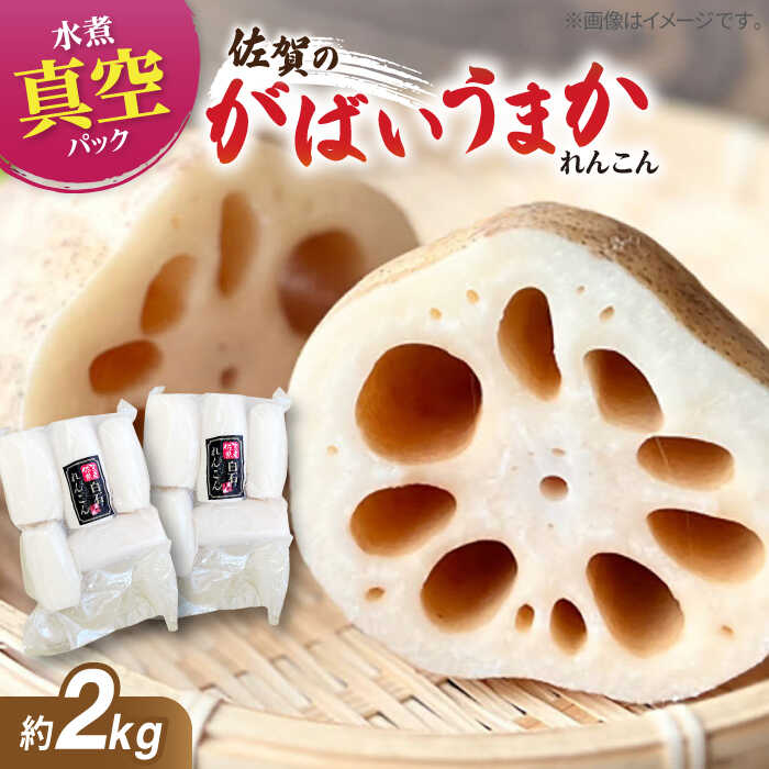 【ふるさと納税】 【お手軽調理！】 水煮れんこん 計2kg（真空パック）【有限会社白石開発】 蓮根 レンコン 野菜 根菜 小分け 真空 保存 佐賀県 白石町 [IBN007]