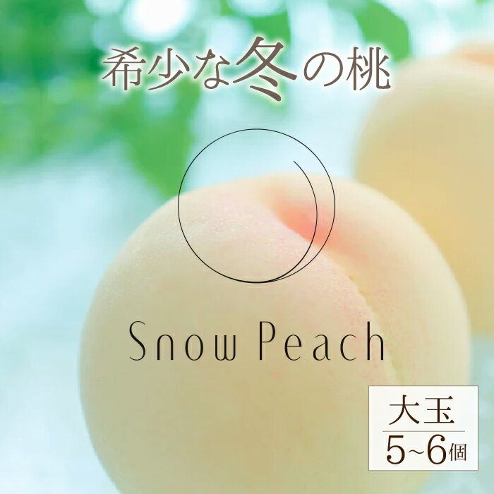 【ふるさと納税】【2026年発送★先行予約】SnowPeach 大玉5〜6個入り ふるさと納税 もも 桃 笛吹市 国産 人気 期間限定 果物 フルーツ 旬 山梨県 送料無料 208-003