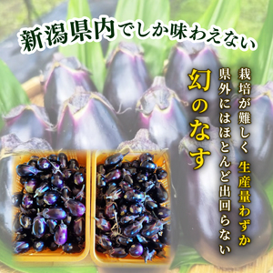 なす 1㎏ 大小8～15個 新潟黒十全なす なす なす なす なす なす tsuguchan002