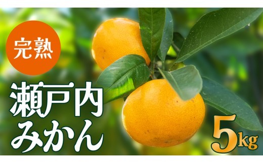 
                  【先行予約】瀬戸内産 島の 完熟 みかん 詰め合わせ 5kg ( 45～55個程度 ) 【12月中旬～1月発送】 広島県 大崎上島町 岩崎農園 国産 送料無料 産地直送 フルーツ 果物 くだもの お取り寄せ 冬 旬
                