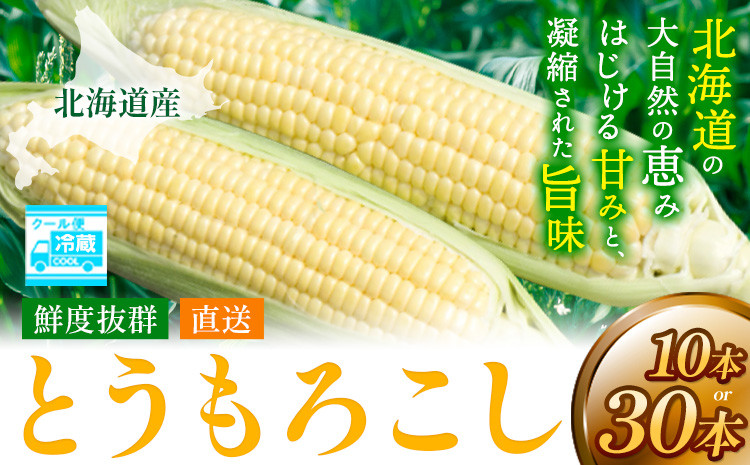 
            【2025年先行予約】照之家商店 鮮度抜群とうもろこし 選べる 10本 30本 とうもろこし トウモロコシ 北海道とうもろこし 朝採れとうもろこし 産地直送とうもろこし 北海道産とうもろこし st-p
          