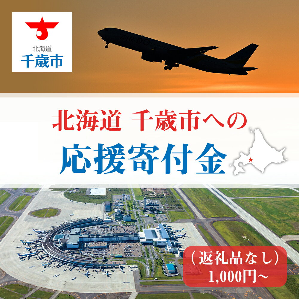 【ふるさと納税】北海道 千歳市☆応援寄付金☆ 選べる応援寄付金【返礼品なし】千歳市 ふるさと納税 北海道ふるさと納税 寄付のみ 返礼品なし 【QQ001】