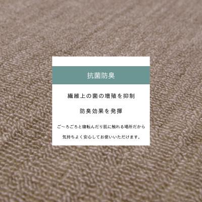 ふるさと納税 和泉市 カーペット 江戸間 3畳 防音 抗菌防臭 厚手 ツワブキ 176×261cm グレージュ 日本製 |  | 02