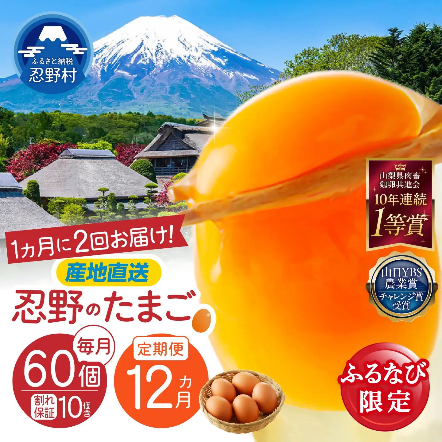 【ふるなび限定】【月2回お届け・12ヶ月定期便】”忍野の卵”コクの赤玉30個×24回 ※割れ保証含む　FN-Limited-SP