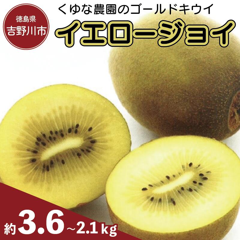 【ふるさと納税】 訳あり キウイ ゴールドキウイ 食べ比べ S~Kサイズ 食べ比べ イエロージョイ 先行予約 糖度 16度 キウイフルーツ 期間限定 果物 ビタミンC 新鮮 旬 デザート 国産 ギフト 贈り物 送料無料 吉野川市 徳島県 くゆな農園