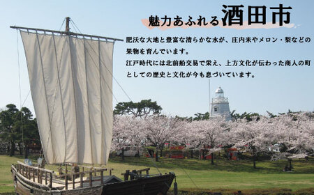 SH0031　初孫　生酛大吟醸「仙寿」1800ml×1本