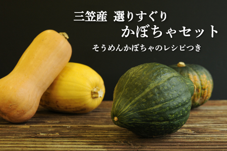 《令和7年分》数量限定！三笠市産 選りすぐり かぼちゃセット(配送時期：10月上旬～11月末頃)【01145】