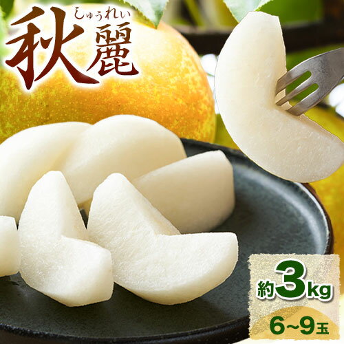 【ふるさと納税】 【2026年先行予約】梨　秋麗 約3kg 旬菜まるや 《2026年8月下旬-9月中旬頃出荷》 鳥取県 八頭町 送料無料 なし 果物 フルーツ ナシ