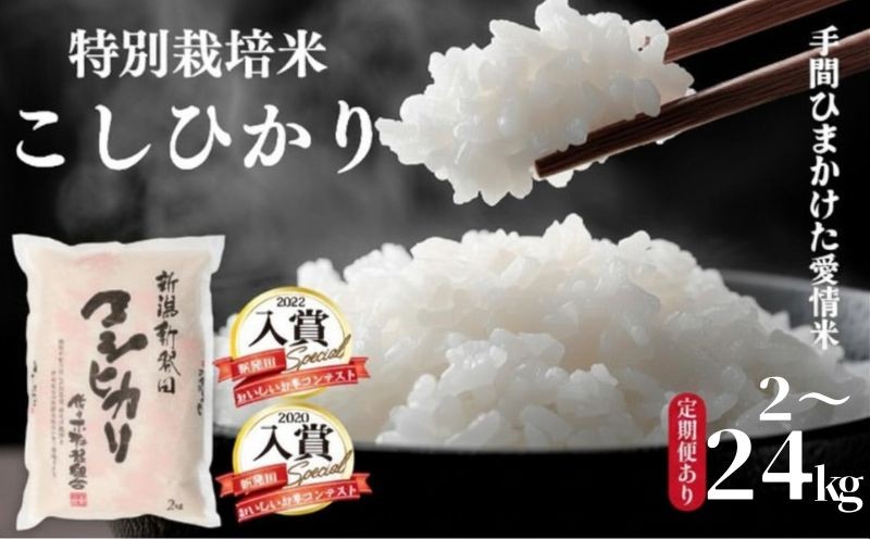 
                  【定期便あり】米 コシヒカリ 特別栽培米 選べる 量 2kg 4kg 6kg 10kg 定期便  6ヶ月 12ヶ月 令和7年産 生活応援 ご飯 コメ お米 米 こめ 新潟産 新潟米  新発田 新発田市 国産  白米 ご飯 精米 玄米 おにぎり 弁当 個包装 小分け プレゼント ギフト 贈答 のし 佐々木耕起 佐々木こうき 佐々木耕起組合 新潟県 新発田市 sasakikoki003P
                