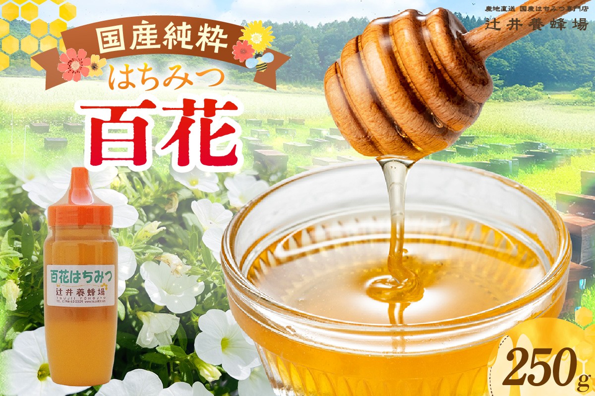 
            【国産純粋 百花はちみつ 250g ポリ容器】国産 純粋 百花 はちみつ ハチミツ 蜂蜜 紅茶 パン ヨーグルト おすすめ 兵庫県 香美町 辻井養蜂場 81-02
          