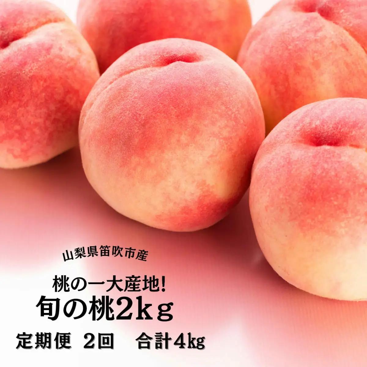 【2026年発送★先行予約】笛吹市産旬の桃満喫コース2kg×2回発送 167-009-26y