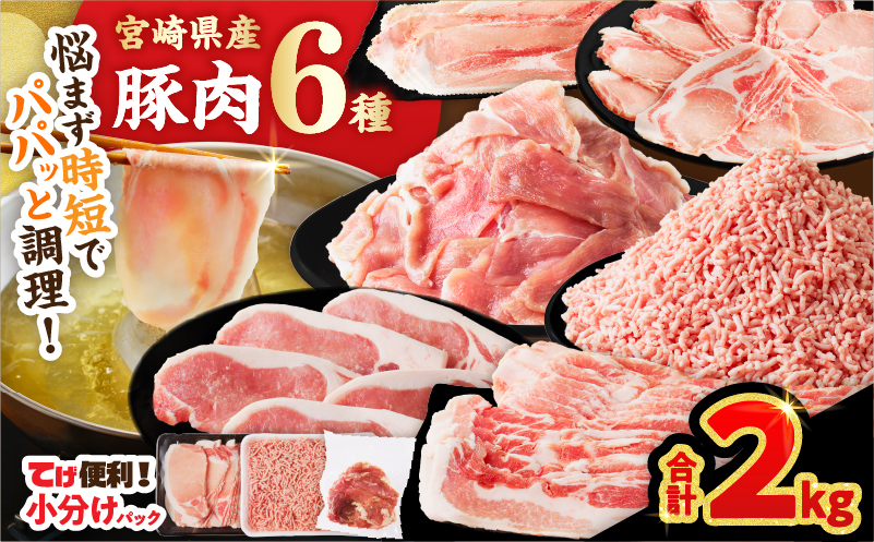 ≪宮崎県産≫豚肉6種＼てげスゲーセット／合計2kg 肉 豚 豚肉 おかず 国産_T009-0306