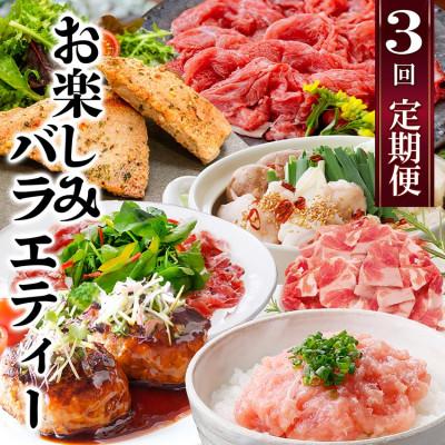 ふるさと納税 枕崎市 定期便3回配送　お楽しみバラエティー　OO-0004