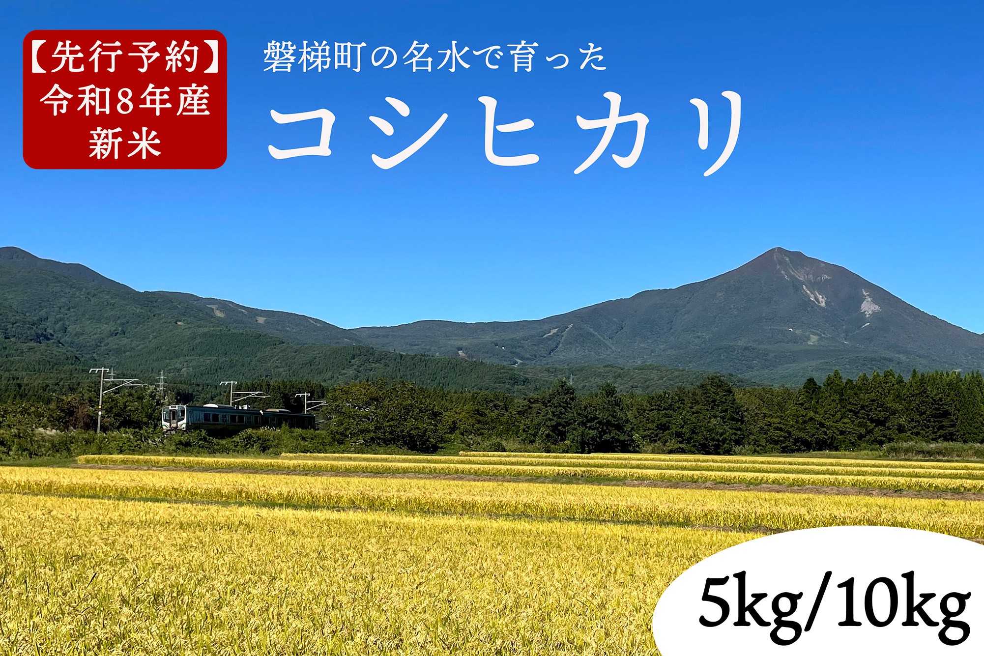
                  【先行予約】【令和8年産・新米】コシヒカリ5kg／10kg　磐梯町の名水で育ったコシヒカリ　会津産　磐梯町産　福島県産
                