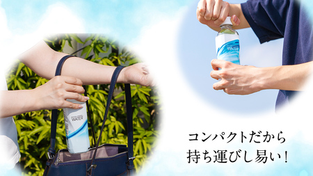 Water 310ml×30本入 ミネラルウォーター ＜10月上旬頃発送開始予定＞ 飲料水 通販 定期 備蓄 ローリングストック 備蓄用 ペットボトル 防災 工場直送 箱買い まとめ買い 国産 防災 