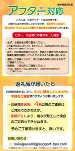 【2026年先行予約】スカイベリー＆とちあいか 食べ比べ 300g×2×3箱  | 果物 くだもの フルーツ 野菜 やさい ヤサイ 苺 イチゴ いちご とちあいか スカイベリー 食べ比べ 新鮮 甘い 