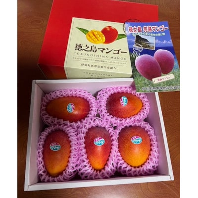 盛農園マンゴー化粧箱入約2kg【配送不可地域:離島】