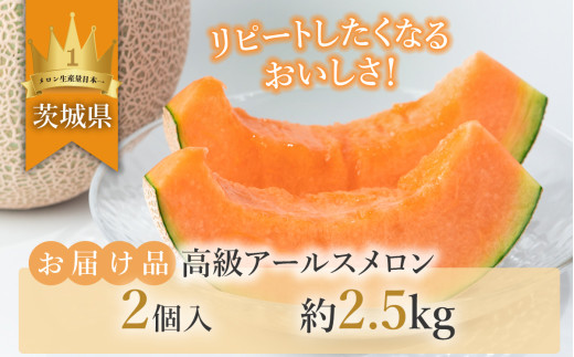 【先行予約】茨城県産アールスメロン「赤」約2.5kg（2個）【2026年9月上旬～10月上旬ごろ発送予定】【 国産メロン 茨城県産メロン メロンの王様 高級メロン めろん  果物 くだもの フルーツ 