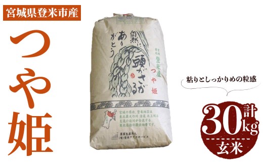 【最短14営業日以内に発送予定】≪令和7年産≫ つや姫 玄米 30kg 登米市産 お米 おこめ 米 コメ ご飯 ごはん おにぎり お弁当 【登米ライスサービス株式会社】tm143
