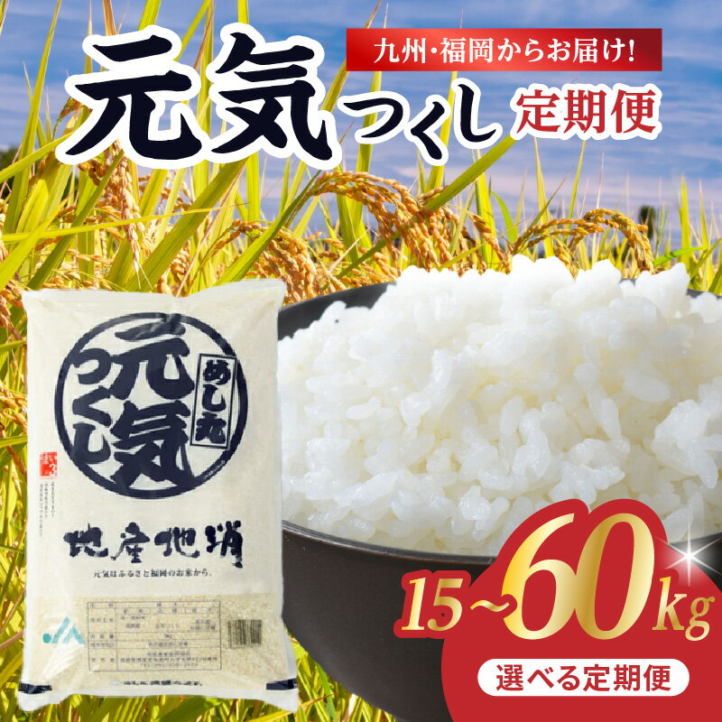 【ふるさと納税】【定期便 選べる】九州・福岡からお届け！ブランド米「元気つくし」定期便【全3回・全5回・全10回・全12回】＜配送不可：北海道・沖縄・離島＞ こめ コメ 白米
