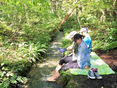 【森林セラピー発祥】信濃町で専門ガイドがご案内 森林セラピー体験チケット（1枚で5名様まで体験可／約3時間コース）