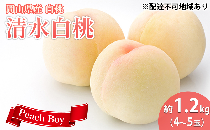 【 2026年 先行予約】 桃 岡山県産 清水 白桃 約1.2kg(4～5玉) 《2026年7月中旬-8月上旬頃出荷》 白桃 岡山 はくとう スイーツ フルーツ 果物 先行予約 数量限定 期間限定 岡山 里庄町 モモ もも 桃 