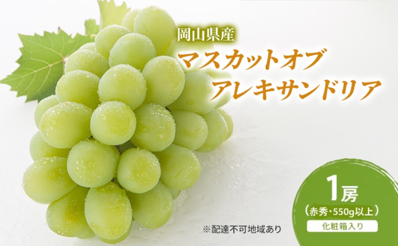 ぶどう 2026年 先行予約 マスカットオブアレキサンドリア 1房(550g以上・赤秀) 化粧箱入り