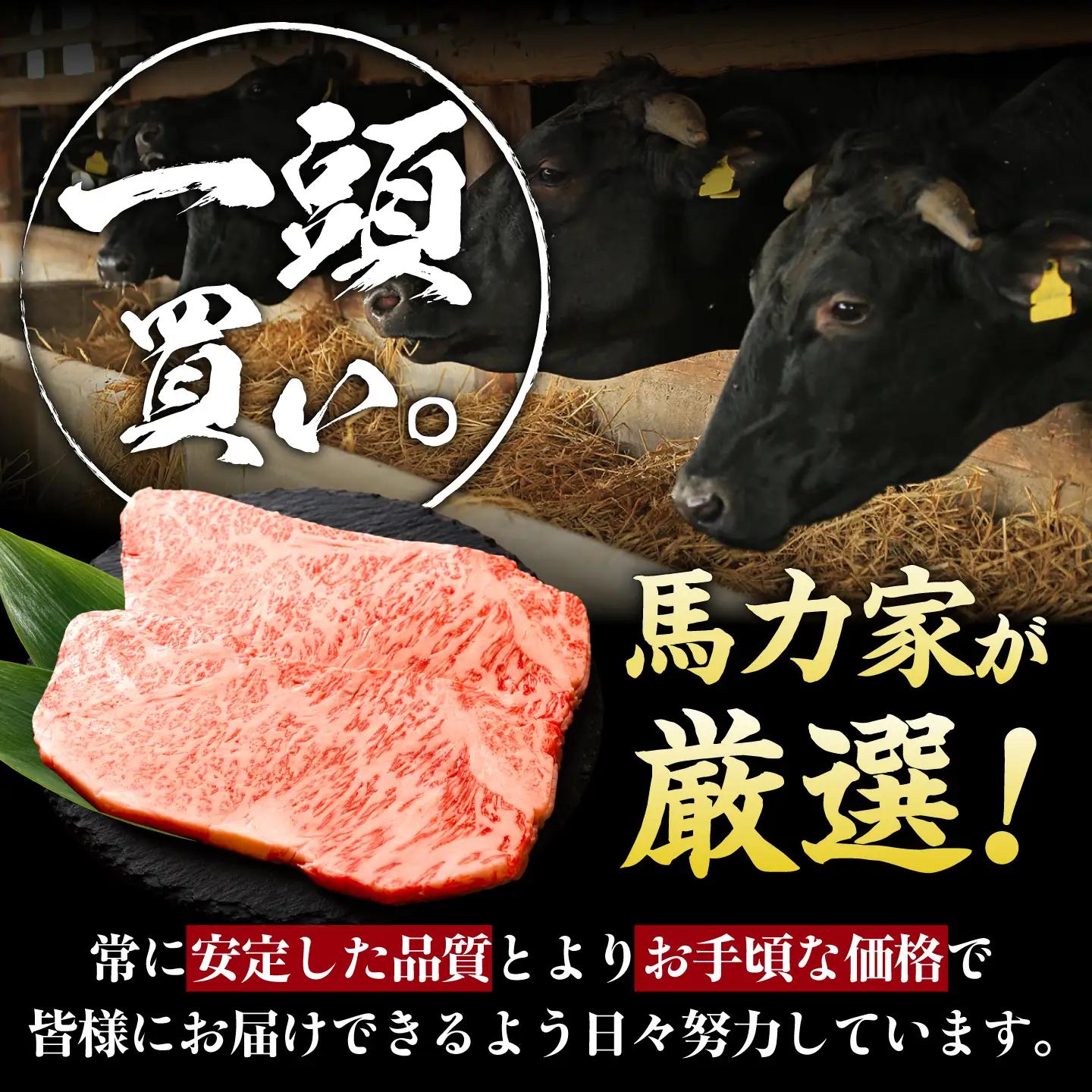 飛騨牛 サーロイン(ステーキ用)1.2kg(200g×6枚)飛騨牛 国産 肩ロース ロース ステーキ 黒毛和牛 和牛 牛肉 BBQ steak 岐阜県 / 御嵩町 / 馬力家[AVBO080]