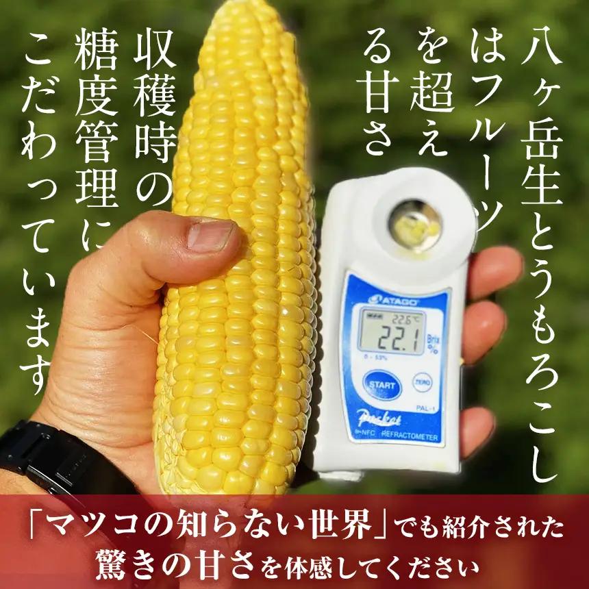 生で食べられる極上の 八ヶ岳 生 とうもろこし 10本入り【2026年7月中旬～発送】| ハマラ