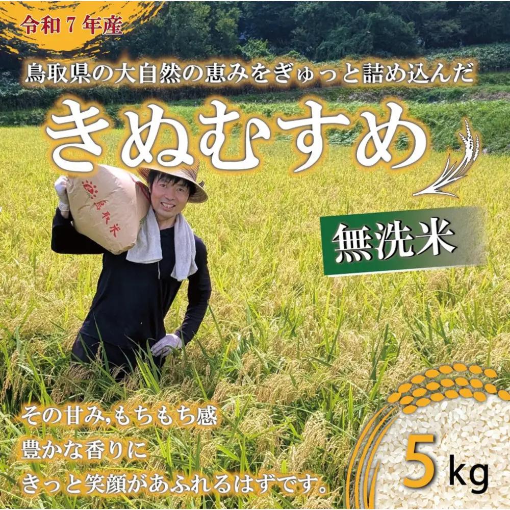 令和7年産　原田農園きぬむすめ無洗米5kg