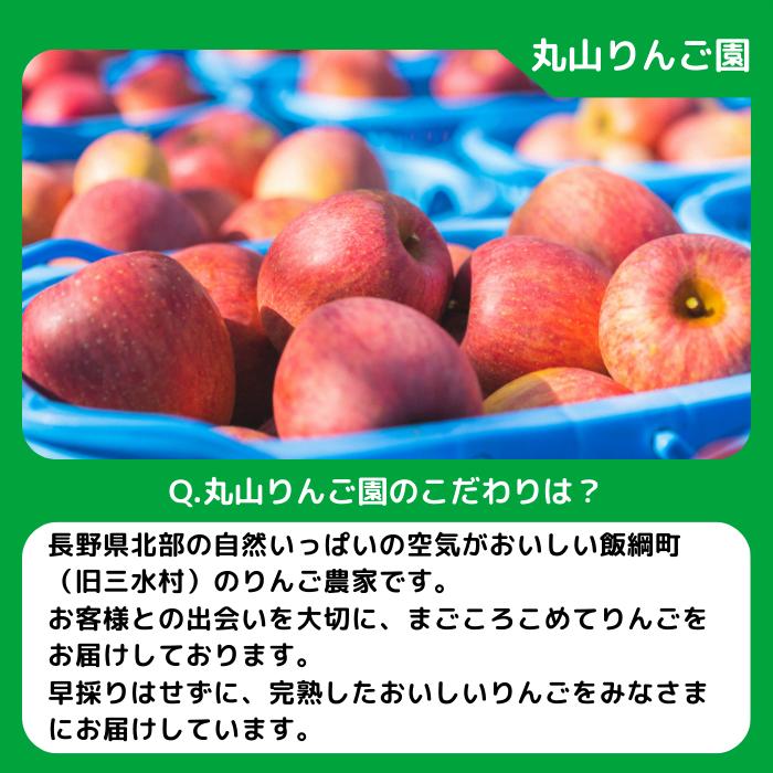 りんご 秋映 家庭用 5kg 丸山りんご園 沖縄県への配送不可 20