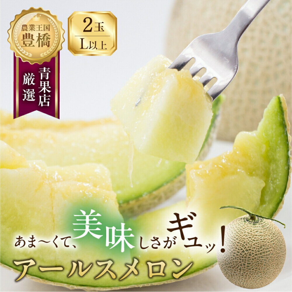 【ふるさと納税】≪先行予約≫ あまーい メロン 豊橋 城下地区の アールスメロン （L〜2L） 2玉 7月 8月 くだもの マスクメロン 果物 甘い フルーツ 愛知県 豊橋市 10000円 1万円