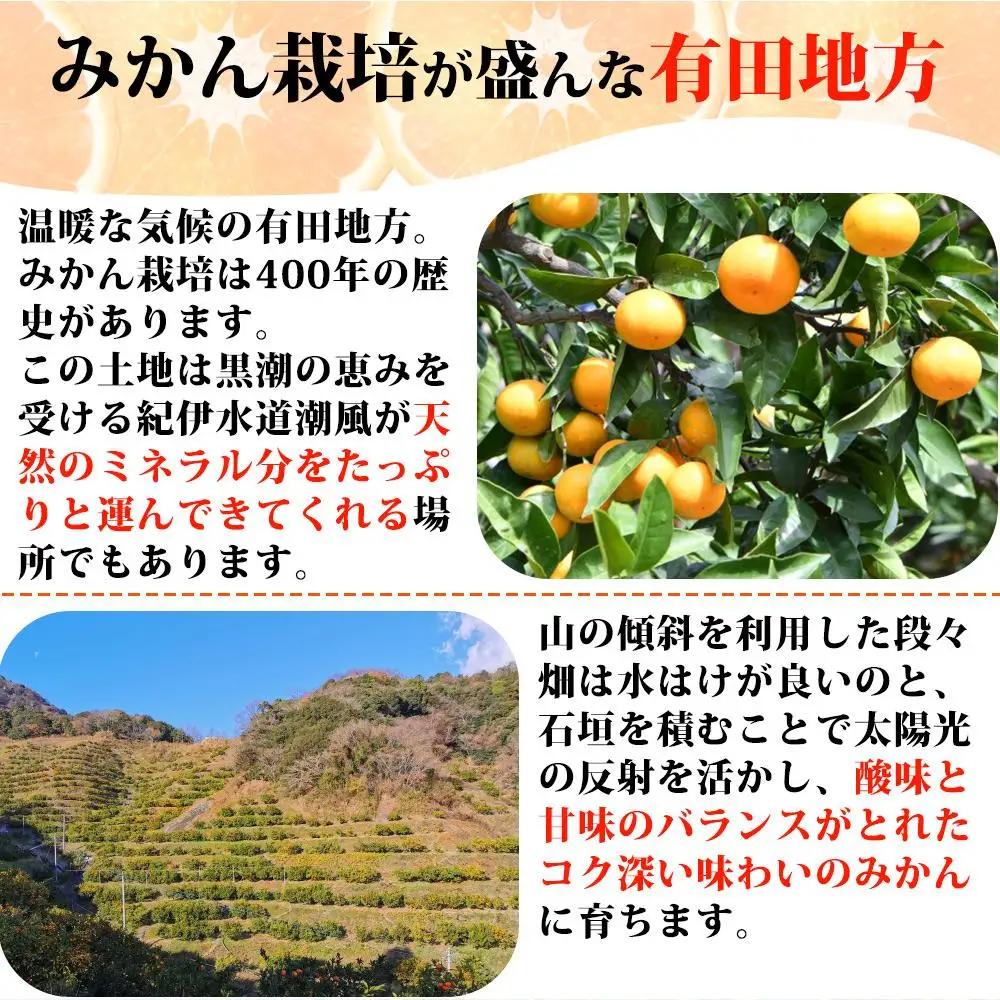 ［ご家庭用訳あり］紀州有田産清見オレンジ 約5kg［2027年3月下旬以降発送］［先行予約］［UT132］