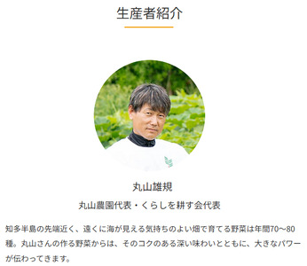 丸山農園の野菜セット 大セット 5~6人用 おまかせ 6?8品目 無農薬 くらしを耕す会 野菜 やさい サラダ 健康 人参 玉ねぎ 大根