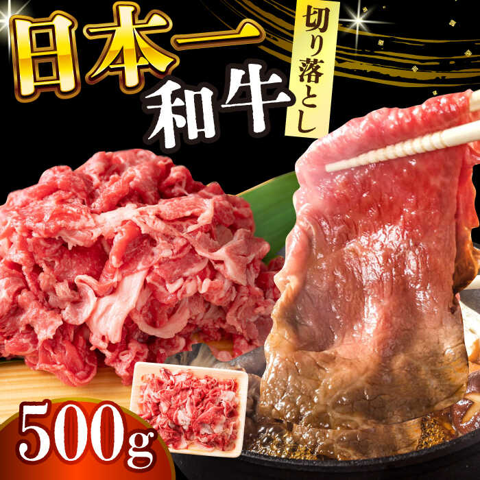 【ふるさと納税】【A4〜A5】長崎和牛切り落とし　500g【株式会社 MEAT PLUS】[DBS005] 切り落とし きり落とし きりおとし 和牛切り落とし 和牛 牛肉 長崎和牛 贅沢 贈答 ギフト 国産 国産和牛