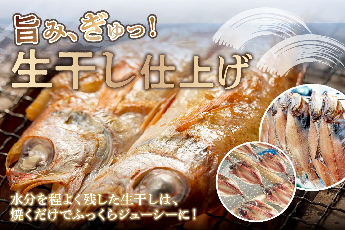 極上!!干物屋推薦 厳選干物 訳あり商品が入ってます!! 魚介類 セット 干物 乾物 ふるさと納税 訳あり 海の幸 魚介類 魚貝類 干物 一夜干し 干物セット【1043】