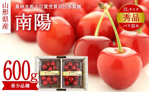 
            【希少数量限定】農林水産大臣賞受賞 長谷部農園 南陽600g バラ詰め 秀品 2Lサイズ 桜桃 山形県産 さくらんぼ  《先行予約 2026年度6月発送》 FSY-2119
          