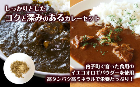 うちこおろぎスープカレー2個と定番コオロギ黒カレー2個セット BKBN003
