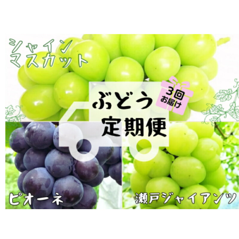 【ふるさと納税】【産地直送】岡山シャインマスカット入り定番品種定期便　3回コース【配送不可地域：離島】