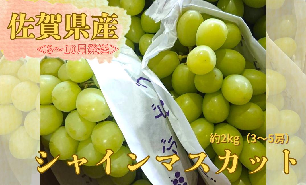 
            ＜8～10月発送＞佐賀県産シャインマスカット約2kg（3～5房）
          