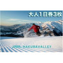 【ふるさと納税】HAKUBA VALLEY 10 スキー場共通リフト券【大人1日券3枚】_ スキー チケット リスト券 長野 白馬村 パウダースノー ゲレンデ 北アルプス HAKUBA VALLE 10 1日券 おすすめ 人気 ウィンタースポーツ ギフト 贈答 共通 【1560076】