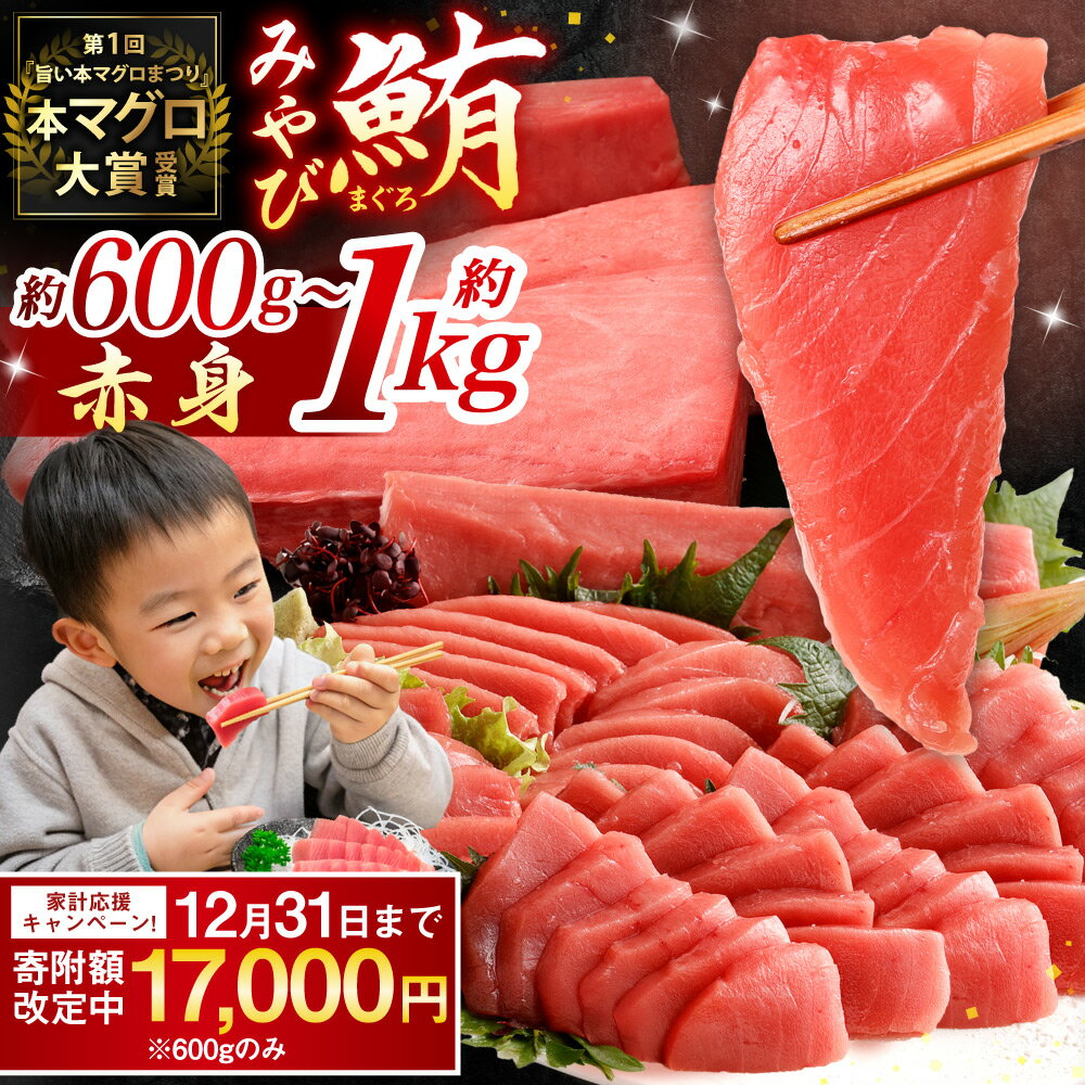 【ふるさと納税】【期間限定！～12月31日まで一部寄附額改定中】本マグロ 大賞受賞 みやび鮪 赤身 選べる 計約600g 計約1kg 鮪 まぐろ マグロ 本まぐろ 本鮪 冷凍マグロ 冷凍鮪 まぐろ赤身 マグロ赤身 国産マグロ 国産鮪 さしみ 刺し身 刺身 魚 冷凍 国産 長崎県 長崎市