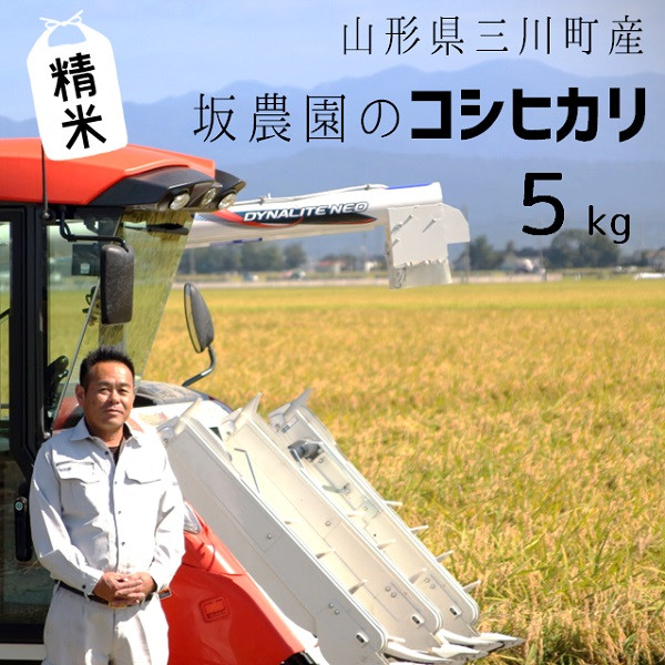 
                  【令和8年産・精米】坂農園の厳選米！コシヒカリ5kg　※令和8年産新米　※10月中旬頃から順次配送
                