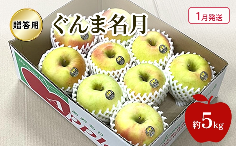 
                  [№5554-0440]【1月発送】 りんご ぐんま名月 贈答用 約 5kg 林檎 フルーツ 果物 ギフト 青森県 鶴田町
                