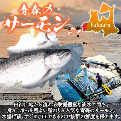 ふるさと納税 深浦町 青森サーモン　ネギトロセット[No.5296-0126] |  | 02