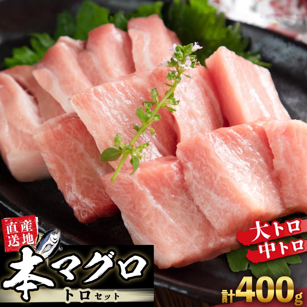 【ふるさと納税】本場南紀から産地直送！ 本マグロ トロセット 400g | 【年末年始お届け可能】大トロ 中トロ 鮪 刺身 寿司 お正月 | 鮪 マグロ まぐろ 刺身 年末発送 年内発送 期間限定 マグロセット 詰合せ 詰め合わせ 魚 魚介類 お取り寄せ グルメ maguro