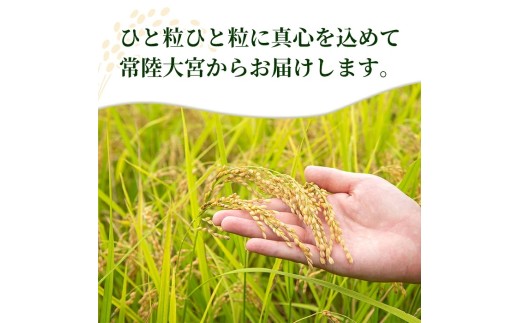 【10kg×3回 定期便】米 こめ お米 コメ 茨城県産 こしひかり コシヒカリ 10kg × 3ヶ月定期便 米 お米 令和8年産 精米 白米 こめ コメ ご飯 10キロ 新米 【有限会社桂農産】【h