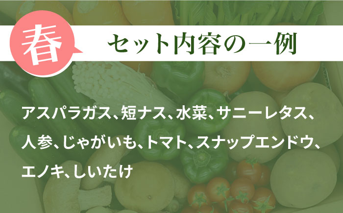 【偶数月6回定期便】当日仕入れ当日発送！野菜・キノコをセット 10品目以上 / 季節 旬 野菜定期便 旬野菜 やさい 野菜 新鮮 野菜セット 詰め合わせ / 南島原市 / 吉岡青果 [SCZ006]