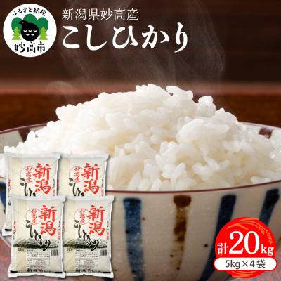 ふるさと納税 妙高市 新潟県妙高産コシヒカリ20kg【順次発送】